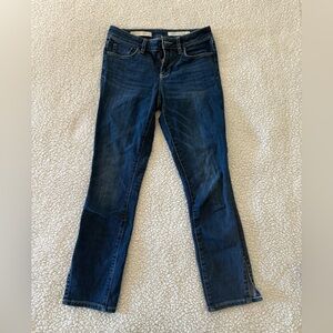 Pilcro and the Letterpress Dark Blue Jeans Ankle Size 27